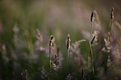 育碧采取大幅加薪措施挽留资深员工 结果加剧不平等